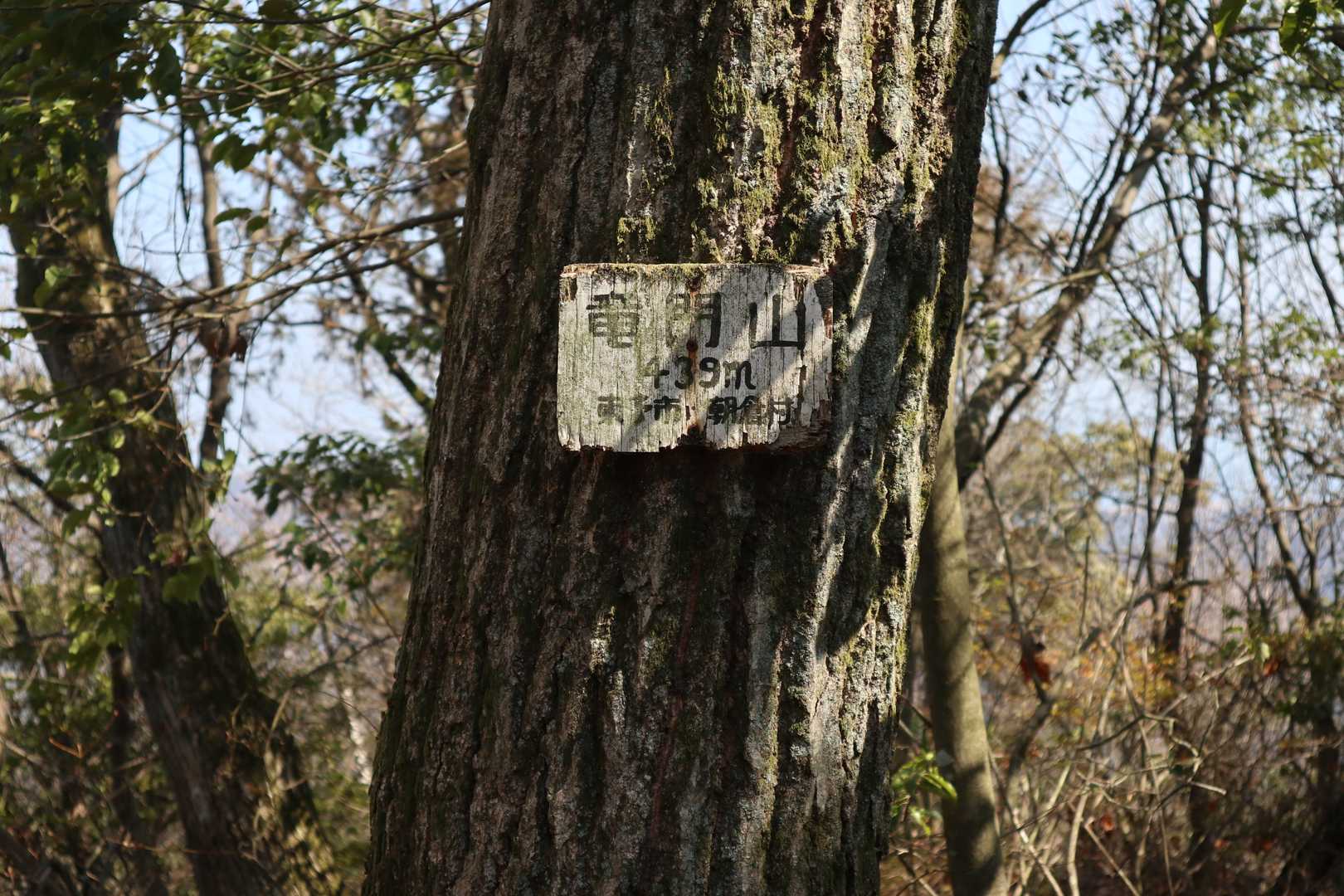 看板が有ります