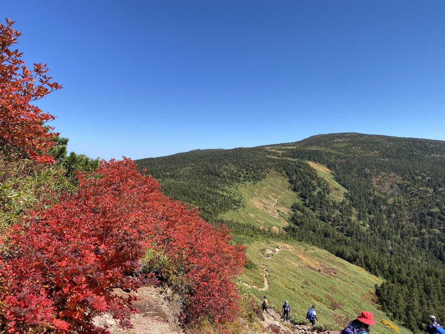 西吾妻山への縦走路
紅葉がキレイ😍