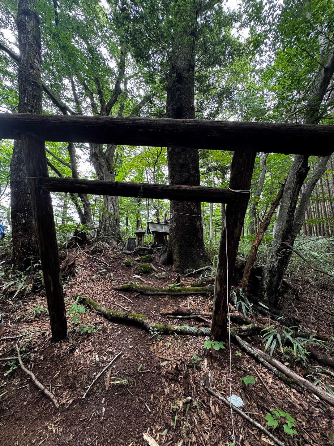 ⛩️
んんッ⁉️