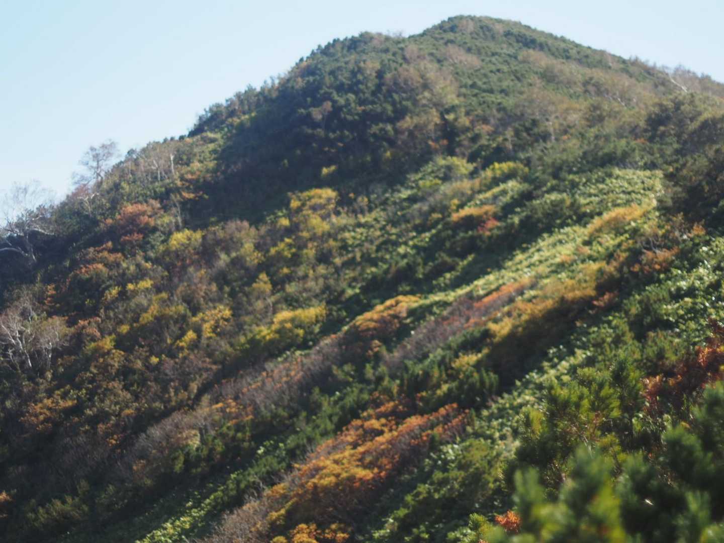 紅葉も少しですが