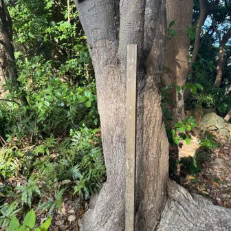 細い棒には標高が記してあります(214m)。