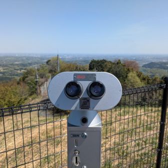 メイラード反応