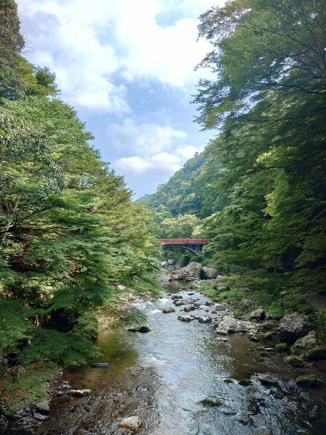 清滝歩道橋から見る渡猿橋