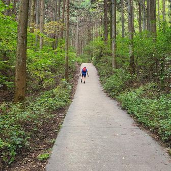 登ってるんじゃないのよ
逆向きに下ってる
この坂、地味に膝に来るので逆向きで下る人が多い