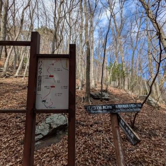 ここで山道はおしまい