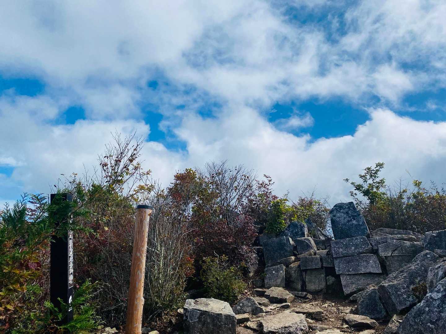 府駒山-釈迦ヶ岳 往復コースの写真