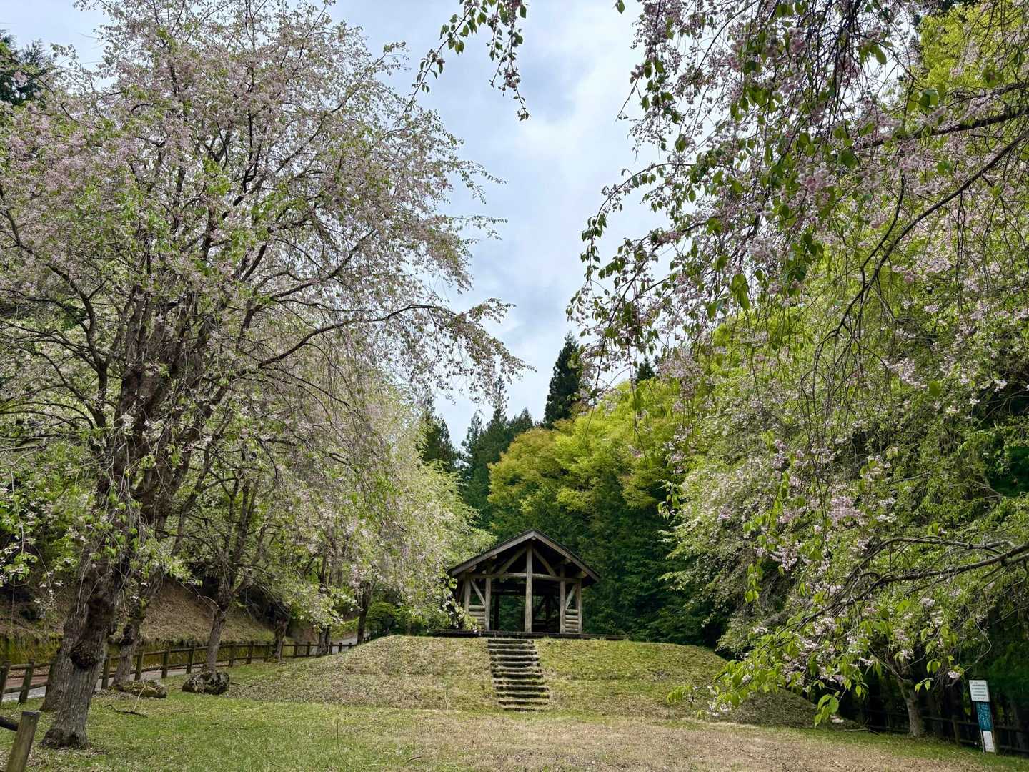 御正体神社から池の平登山口までの細野鹿留林道が通行止めになっているのでひたすら林道歩き😌途中お花がきれいだったり東屋があったり