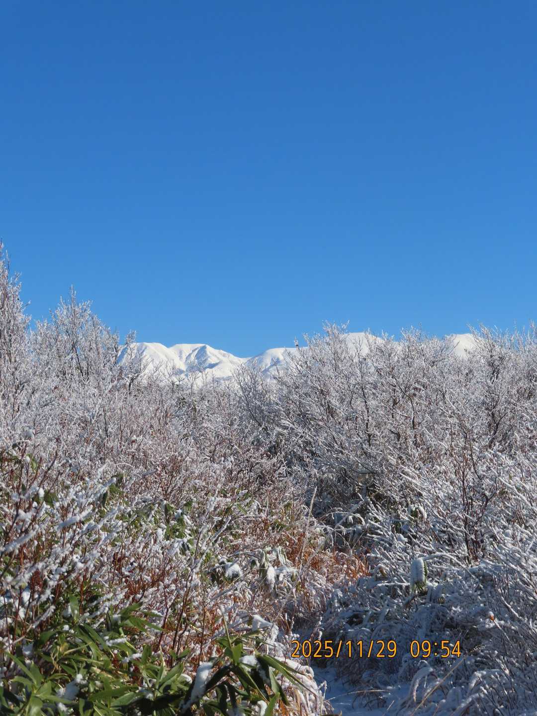 白山連峰が見えてきました。