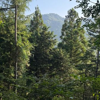 ちらっと、石割山🫣⛰️