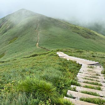 仙ノ倉山から戻る道もいいな