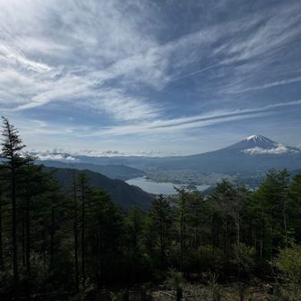 山中湖まで見える絶景