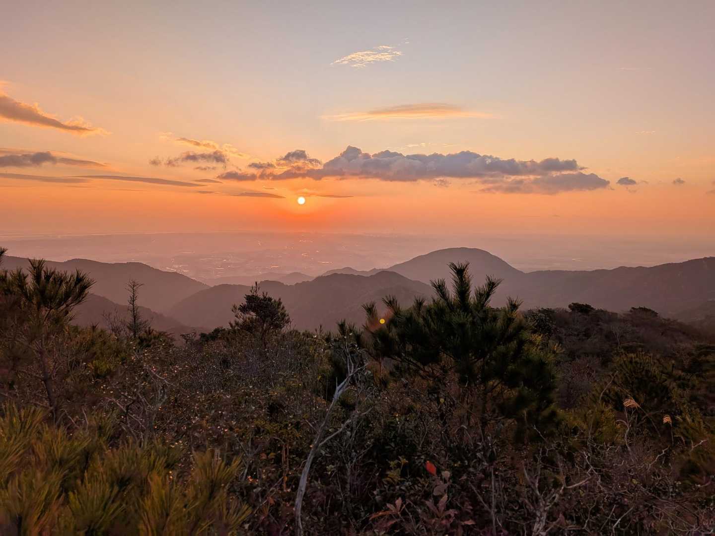石榑峠-竜ヶ岳-静ヶ岳 往復コースの写真
