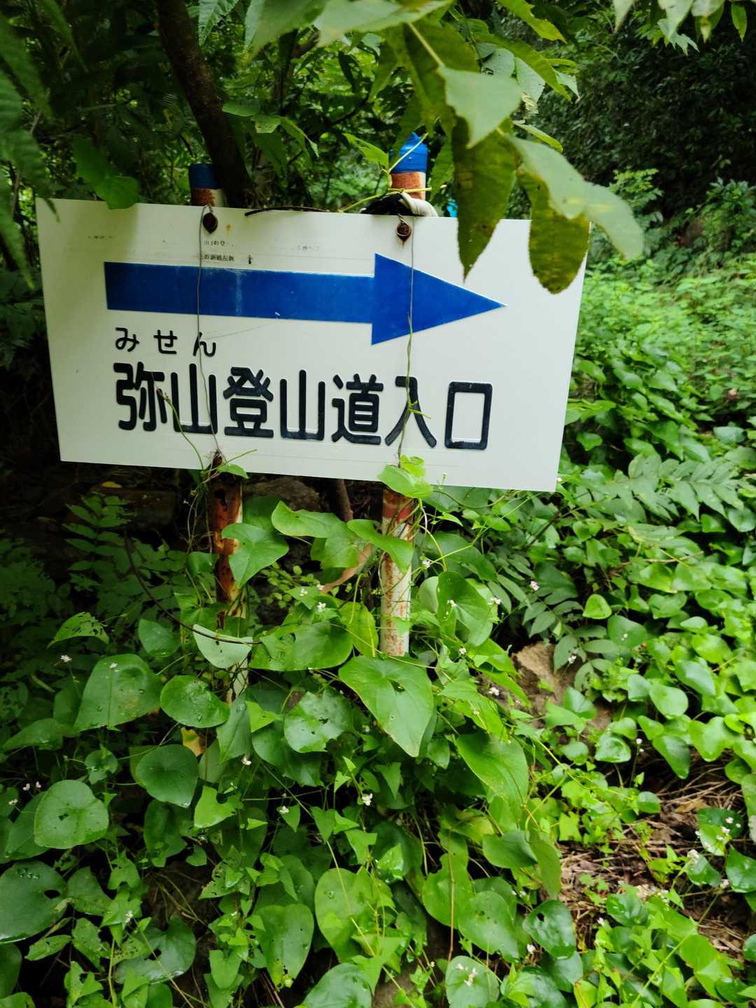 草木は、雨で濡れています。
昨日、雨がよく降りましたからね😥