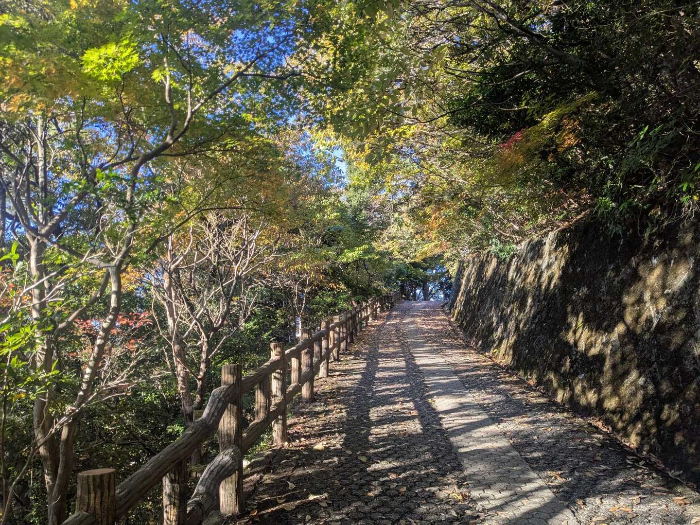 整備された登山道