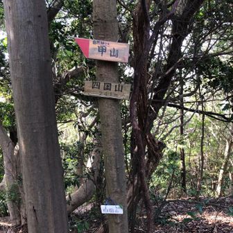 四国山山頂。こちらは眺望はなし。