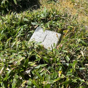 赤帽子山の三角点