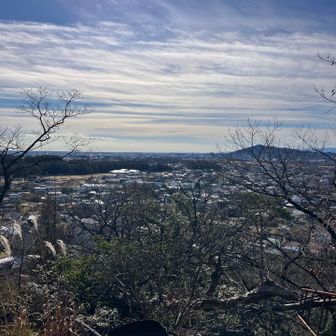 高尾山山頂からは標高110m位でも眺めが良く、とても落ち着く風景だった。

落ち着く理由はハッキリしている。

最近の仕事は、群馬に在籍しながら週の半分以上は東京駅近くの本社オフィスへ行く事になり、特に自然の中にいる時間が非常にありがたく、以前にも増して渇望するものだと思うようになった。

都会には生活には便利なものが沢山あるが、とにかく人工物が多すぎて、自分には合っていない。

それに山にくれば役職も肩書もなく、誰もが平等で気を遣われる事もない。たまに山登り自慢するおじさんがいるくらいは可愛いもの笑
山では名刺交換もオンライン会議も無い。
作り笑いをされる事もない笑

それだけでも山は本当に快適だ。あ、オンライン会議はここでもできそうだ😆絶対やらないけど。
