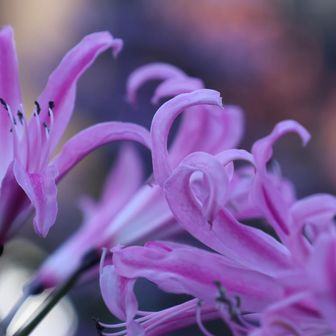 かわいいなぁ💕