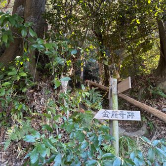公園や道路を1時間ほど歩いて登山口