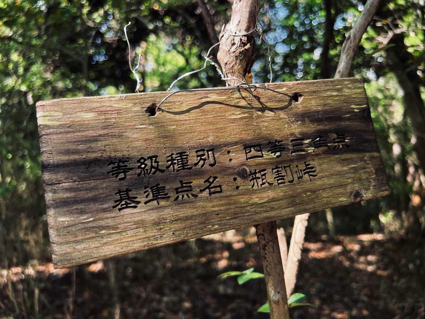 かめわりって読むんですね
びんわりだと思ってた