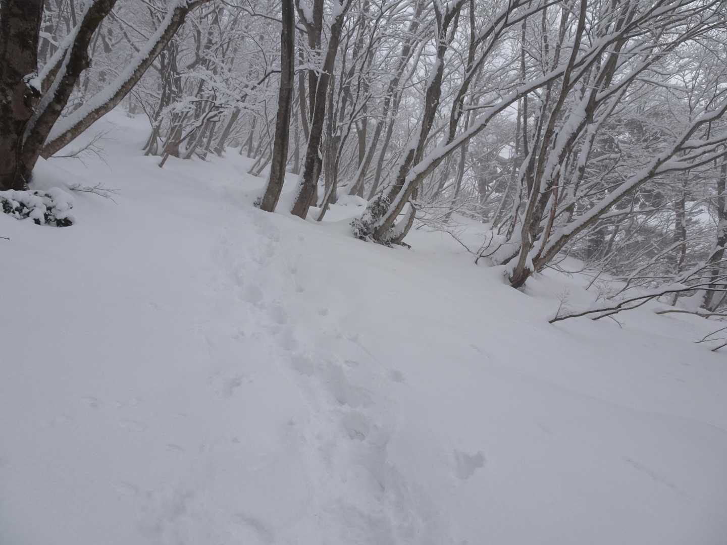 先行している一人を自分が追う形になりました🚶
たとえ一人でも前に人がいると思うと心強い🙏
