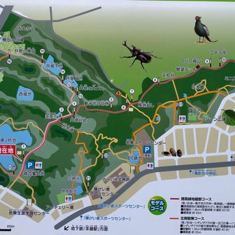 いたかの森（猪高緑地）の案内図です。
この中にお山があったなんて知らなかった😧