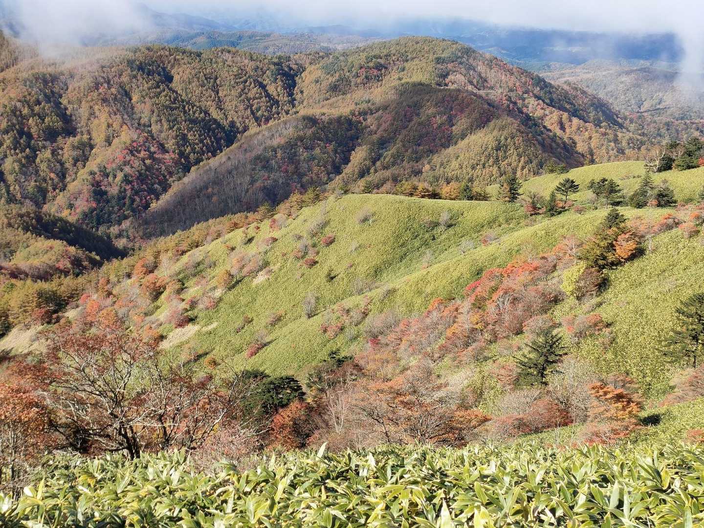 赤い羊の紅葉はもう終わりかけか。