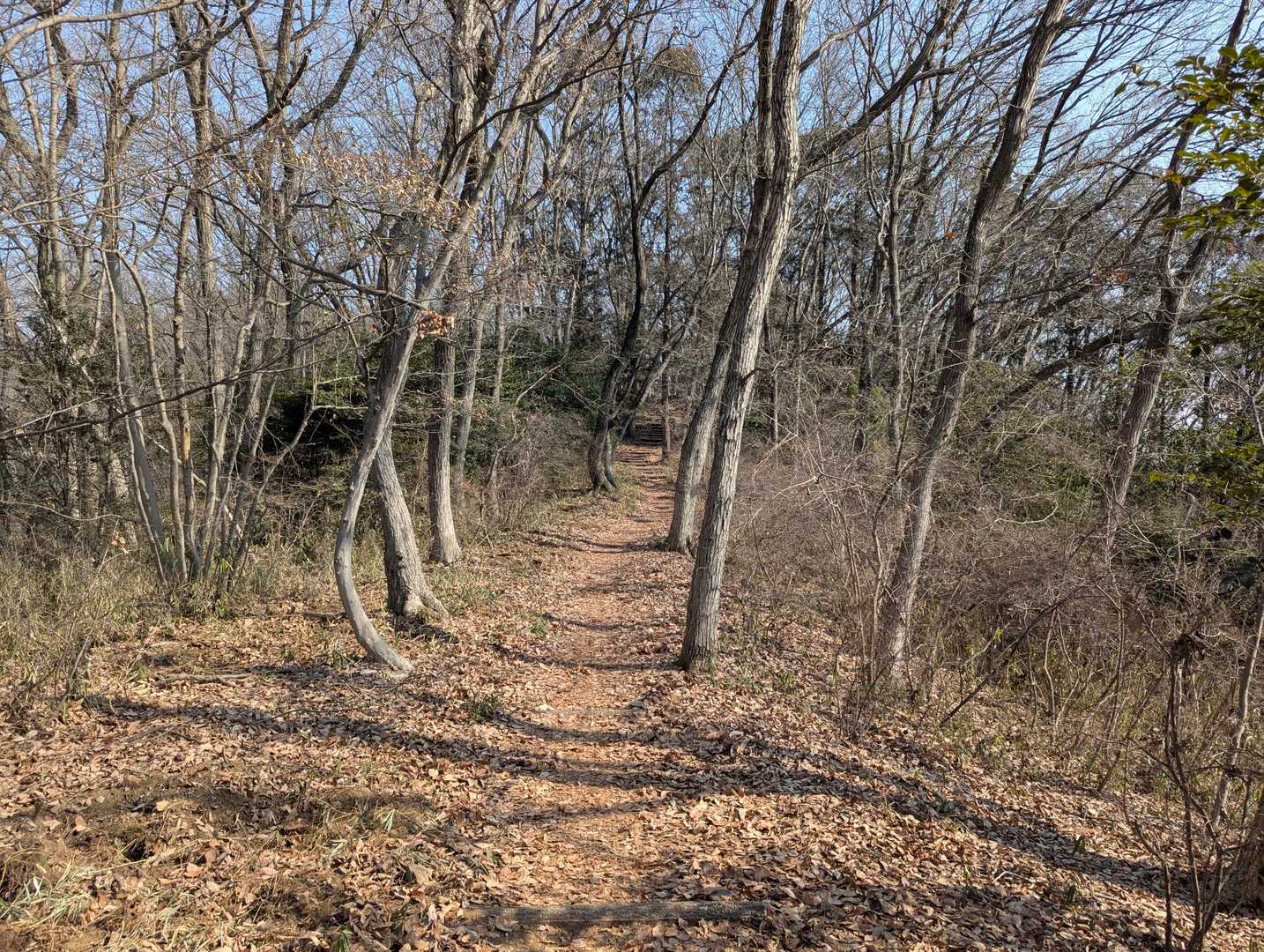 みかも山公園西口登山口-三毳山 往復コースの写真
