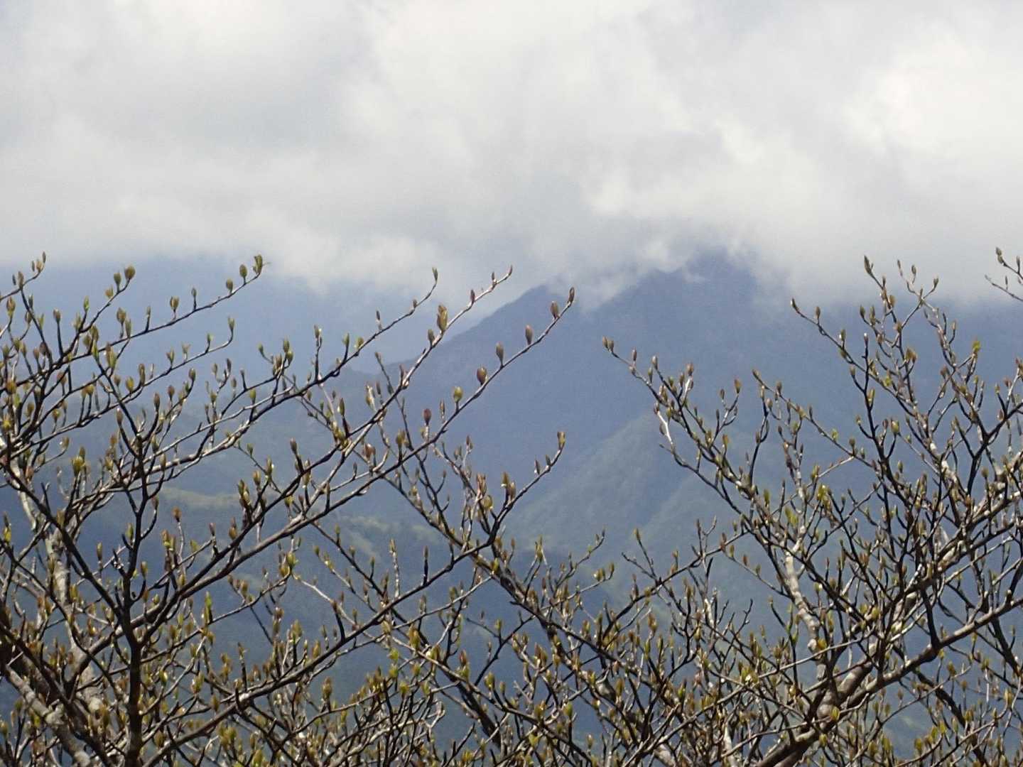 赤石山かな❓
まだ雲が☁️かかってますね🙁
