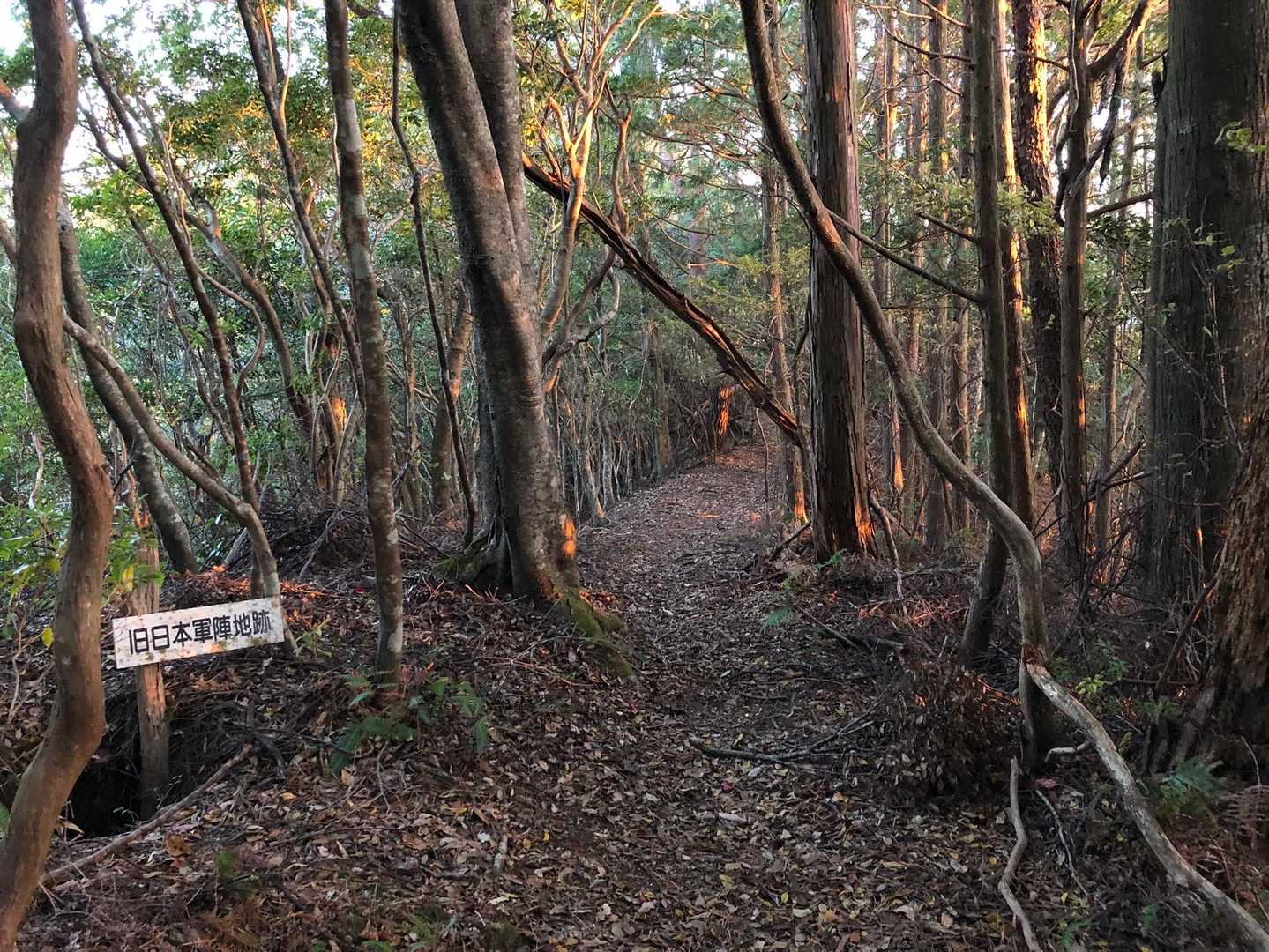 八丁山登山口-八丁山 往復コースの写真