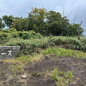 Bコースはけっこう距離があり歩きにくい場所もあったりで時間がかかりました。