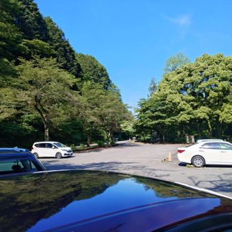 先週は1～2台だけだったが、今日は6台居た