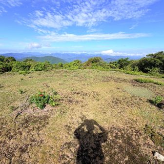 山頂広い✨