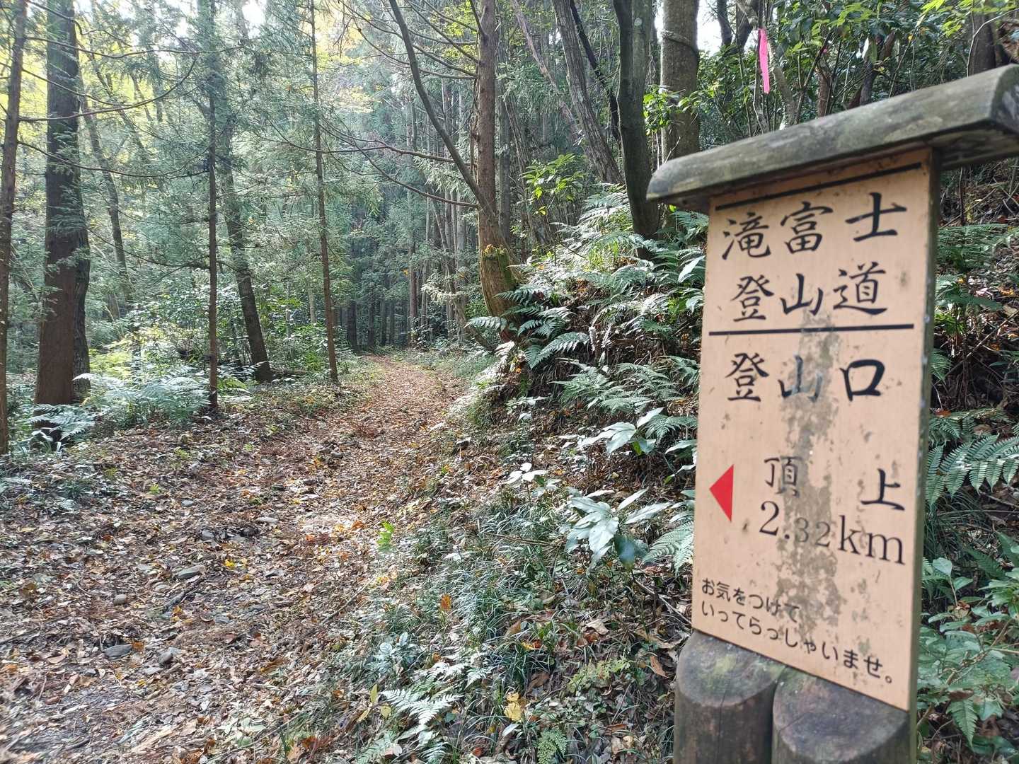 整備された山の匂いがプンプンする。