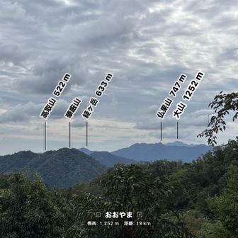 大山見えた⛰️
ヒルが落ち着いたら行きたい🤗