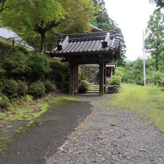 川を渡ってお寺の右側から奥に行き