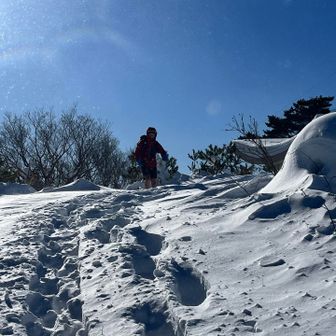 御前山は強風で地吹雪