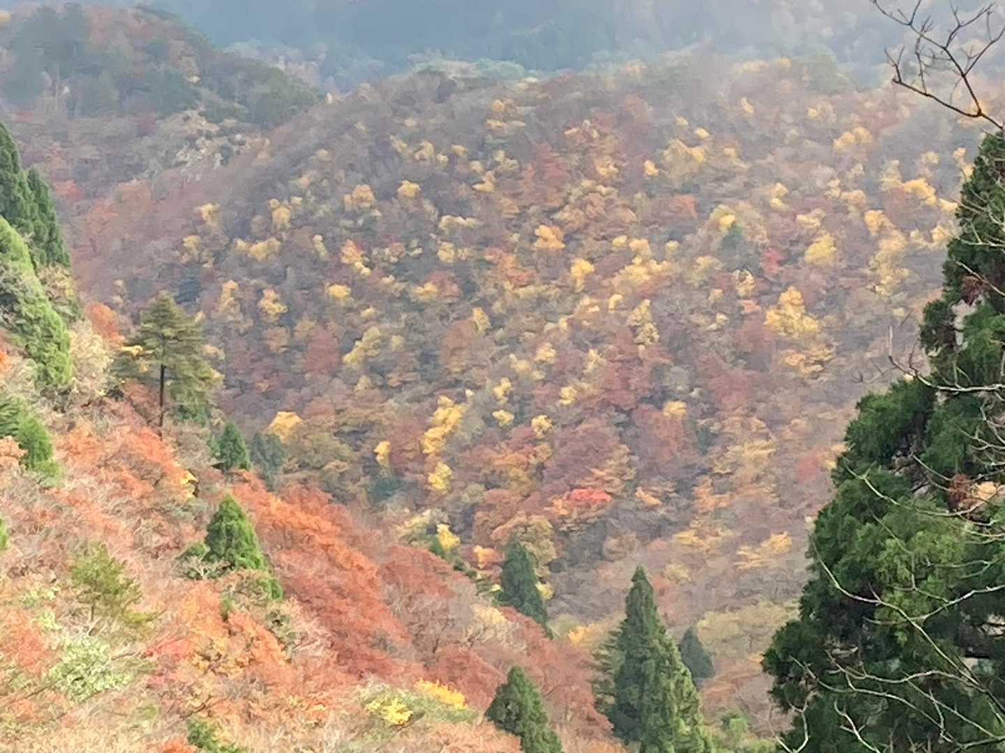 鎌ヶ岳登山口-水沢峠-水沢岳-鎌ヶ岳 周回コースの写真