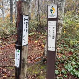 本日のゴール地点