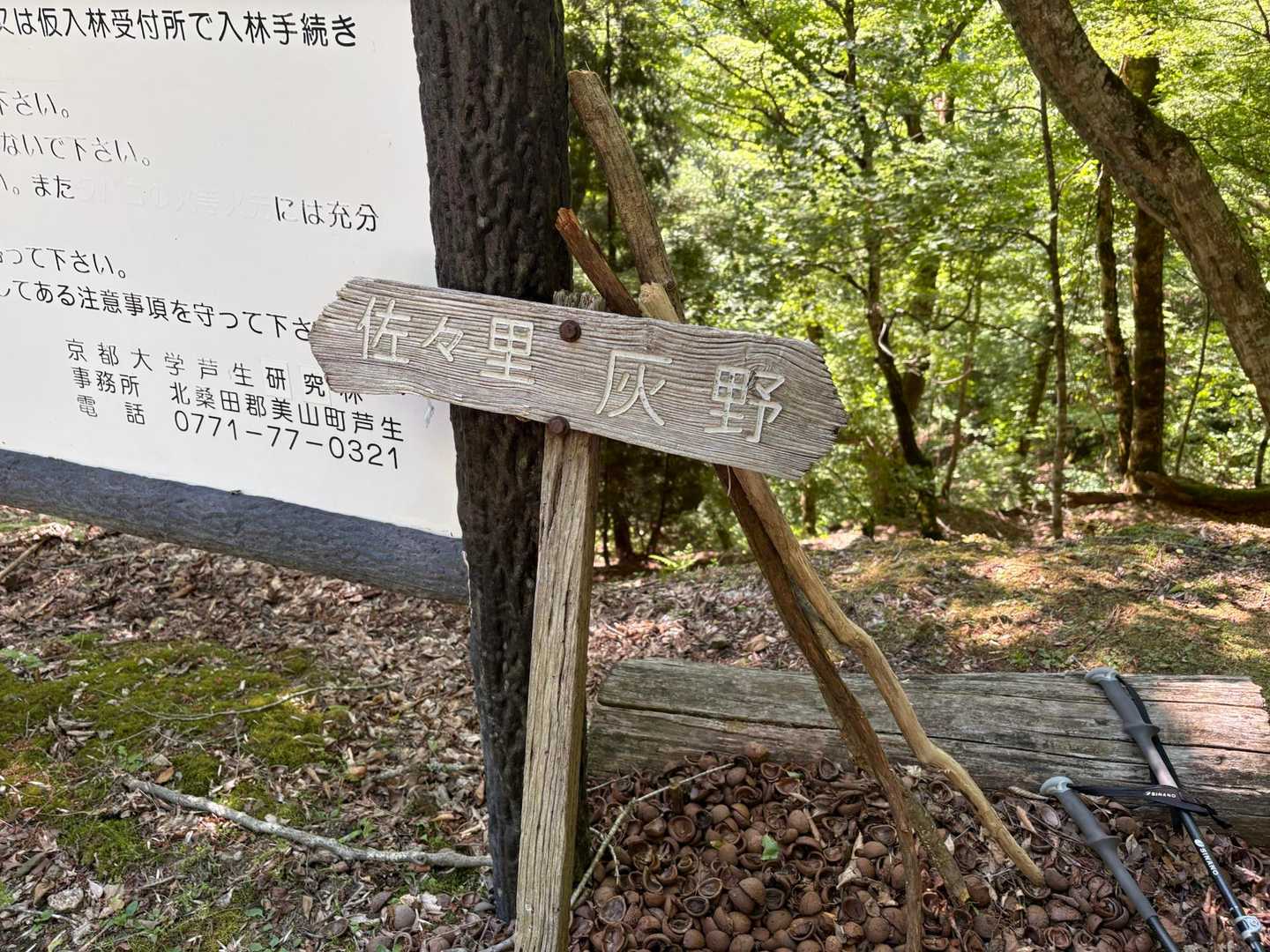 佐々里に戻ってきました