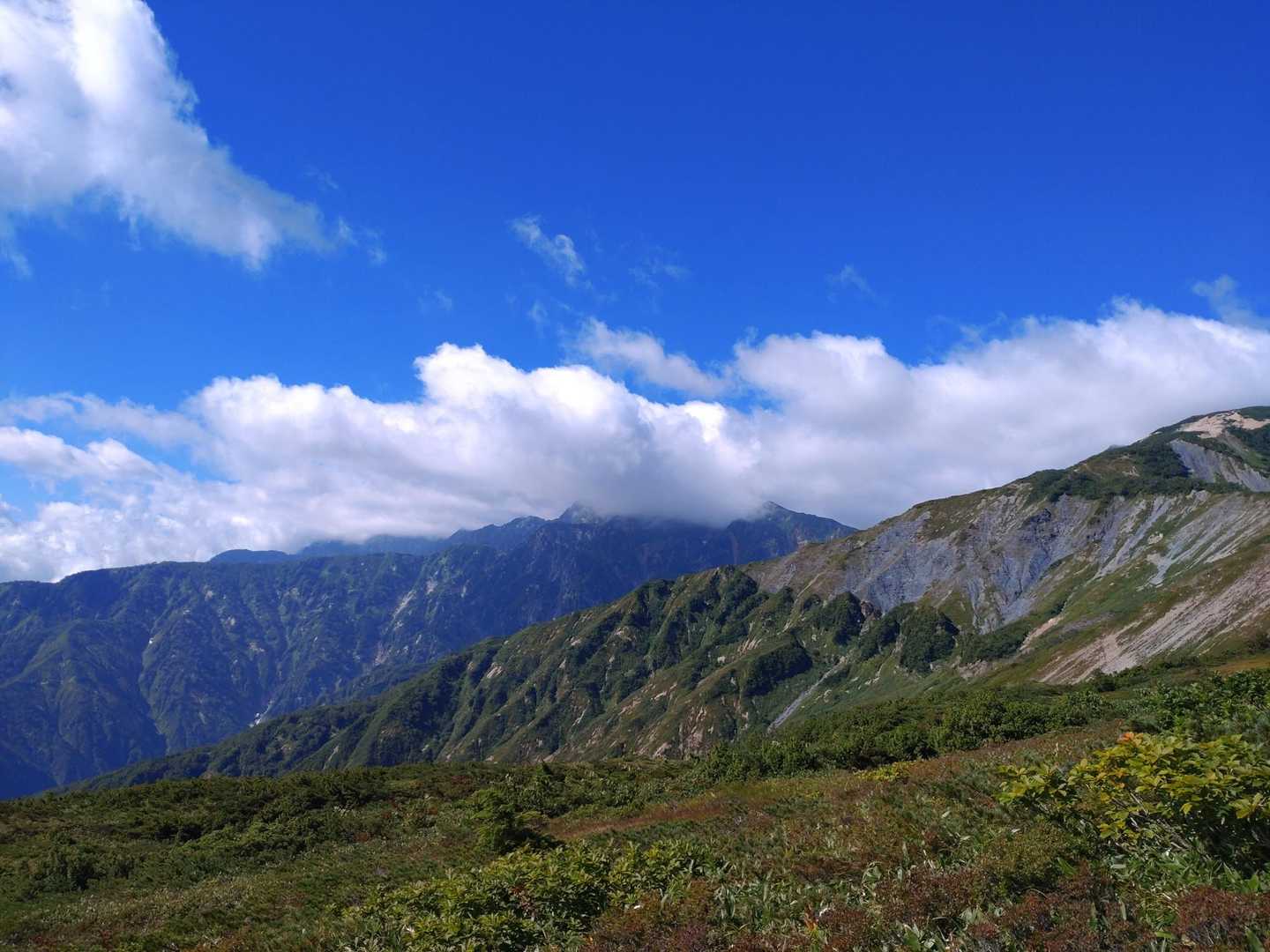 お隣の五竜岳も雲に覆われて見えません😭