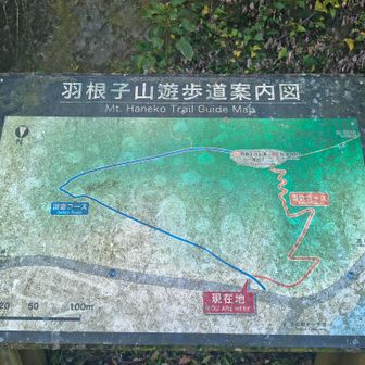 帰り道は巻き道で降りました。