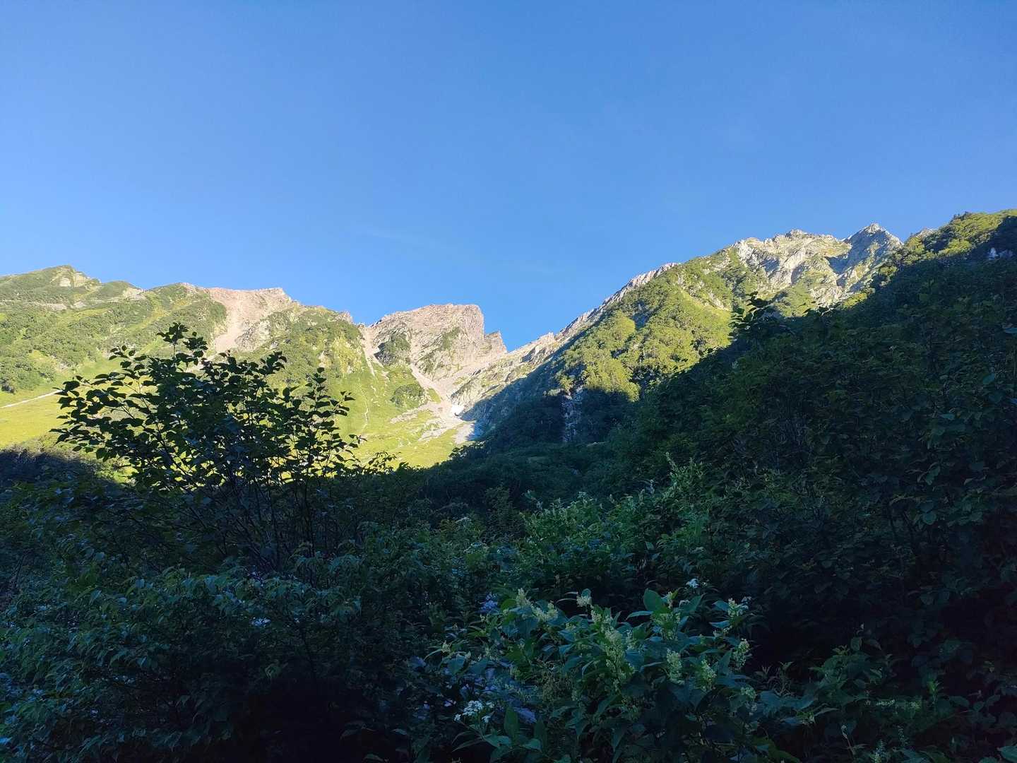 樹林帯からようやく山峰が現れる(⁠◔⁠‿⁠◔⁠)