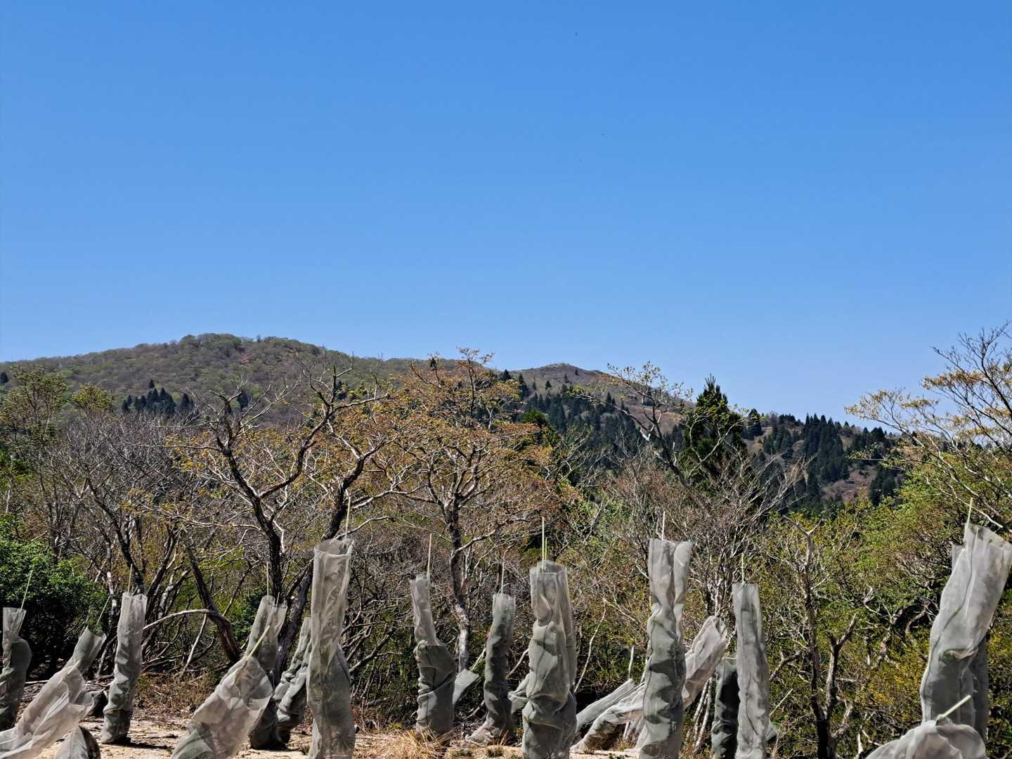 遠くに武奈ヶ岳山頂😄