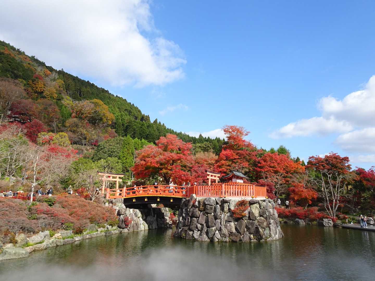 竜宮城っぽい…と思う