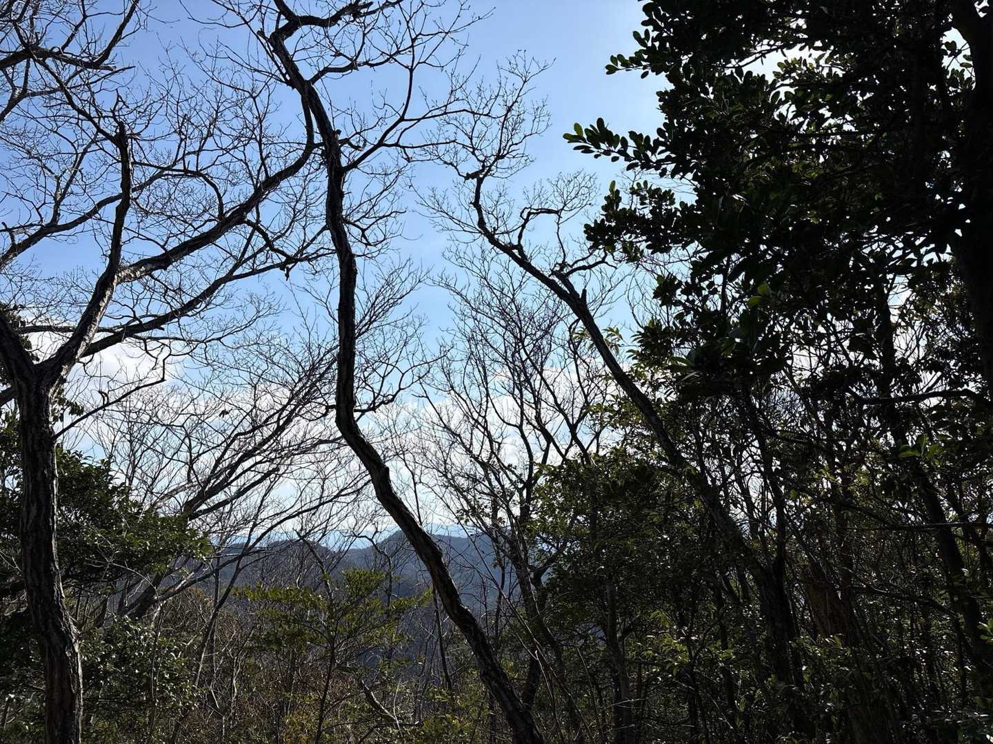 到着✨景色はあまり見えない