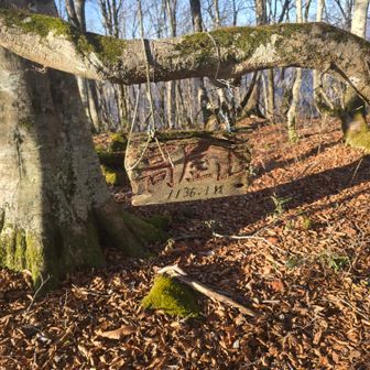渋い山名板
高屋山到着
この時期は周りの木の葉が落ちているので360度のパノラマ展望あります

