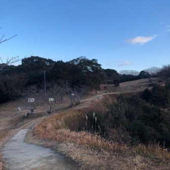 主に土塁をぐるっと反時計に回る楽勝コース✌
相変わらず眺めの良い道～❤