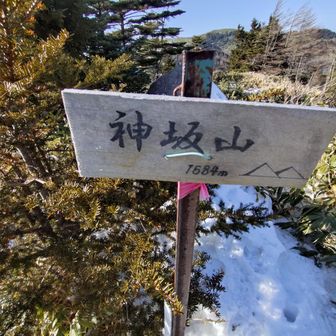 初めて神坂山経由で下山します❗