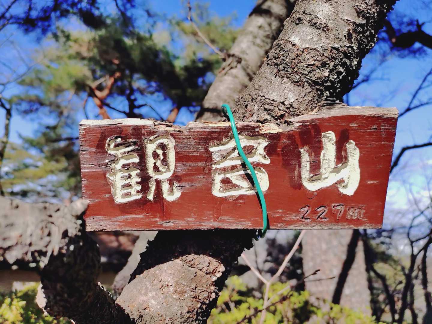 山頂到着！